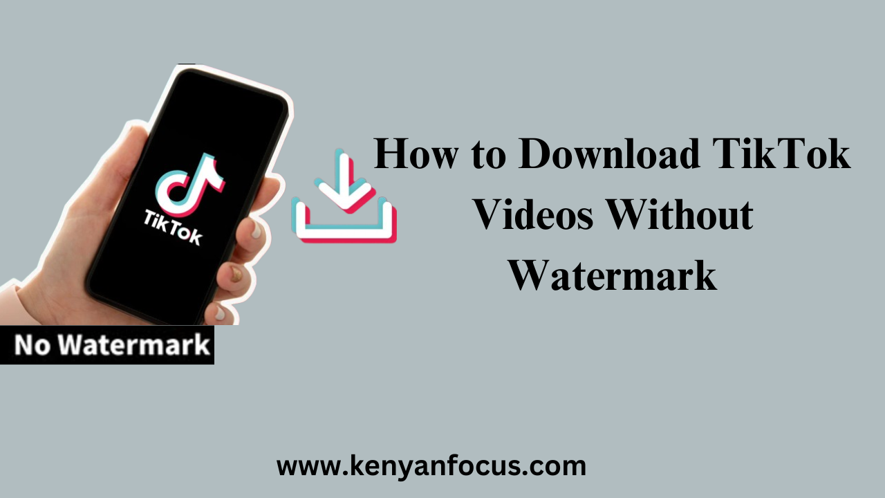 An Infographic of How to Download TikTok Videos Without Watermark