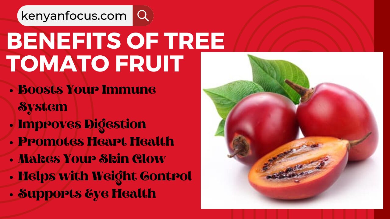 An image illustration of the Benefits of Tree Tomato Fruit